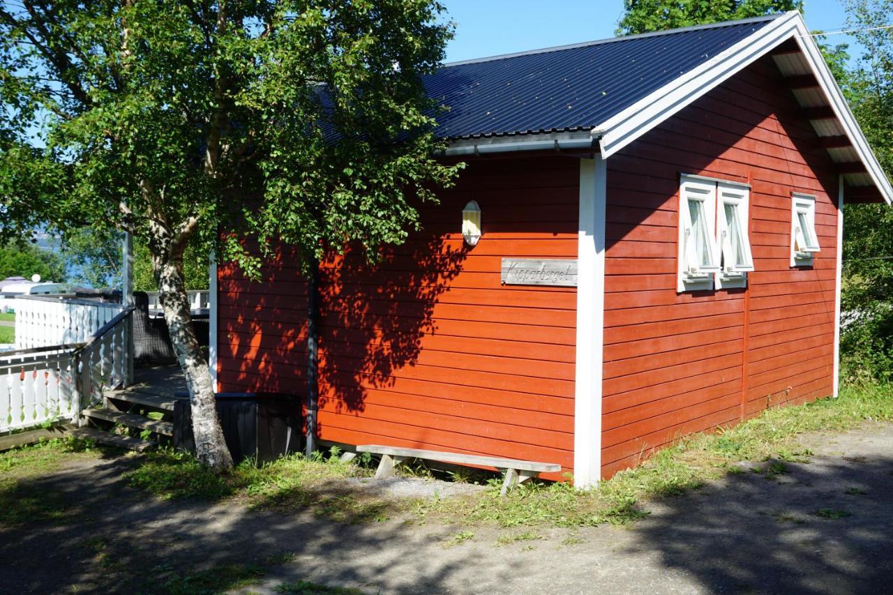 Camp Saltstraumen-Elvegard Hotel Bodø Exterior foto